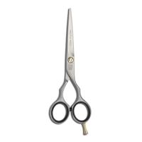Jaguar Scissors Pre Style Ergo 5,5"