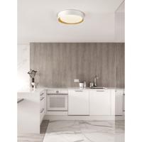 Lyora PlafondlampStake wit Ø 60cm - 9345528