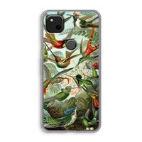 Haeckel Trochilidae: Google Pixel 4a Transparant Hoesje