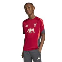 adidas Liverpool Trainingsshirt 2025-2026 Kids Rood Grijs