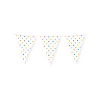 Paperdreams Vlaggenlijn - Party dots 4m