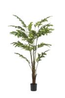 Palm fishtail 125 cm - Emerald