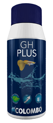 Gh plus 100 ml - Colombo