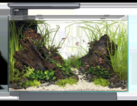 Superfish Quadro 70 Pro zwart Superfish Quadro 70 Pro zwart