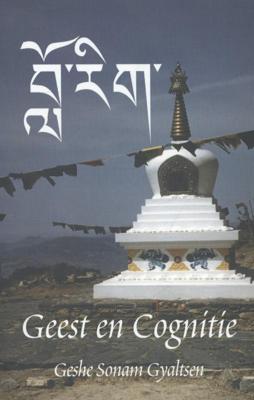 Geest en cognitie (Paperback)
