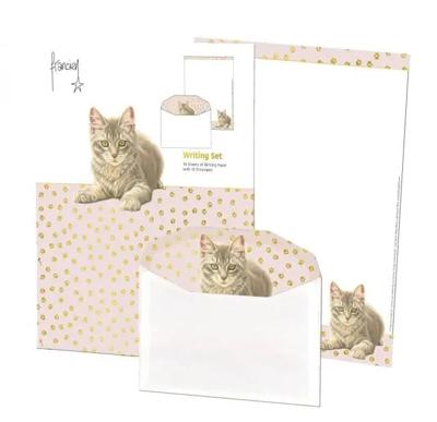 Briefpapier met enveloppen: Franciens Kittens