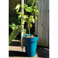 Bloempot Riss 53 cm Blauw Plastic