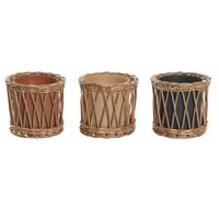 Geurkaars DKD Home Decor Tropisch 270 g (3 Stuks)