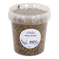 De vries Meelworm black soldier fly
