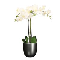 Orchidee kunstplant wit - 75 cm - inclusief bloempot titanium grijs glans - Kunstplanten - thumbnail