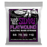 Ernie Ball P02811 snaar voor muziekinstrumenten Bas 4 stuk(s) Gitaar