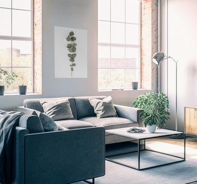 Eucalyptusbladeren bomen poster