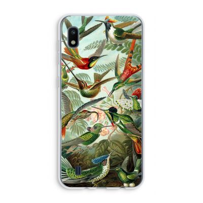Haeckel Trochilidae: Samsung Galaxy A10 Transparant Hoesje
