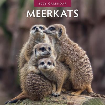 Stokstaartjes Kalender 2026