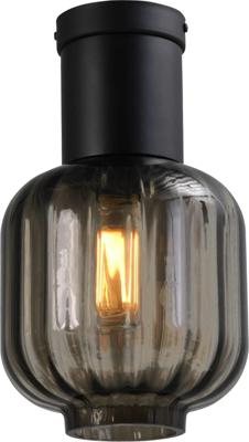 Masterlight Design plafondlampLett lll 20cm zwart met smoke glas - 5160-05-05-20