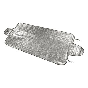 Anti-ijsdeken 100x255cm truck 1710365