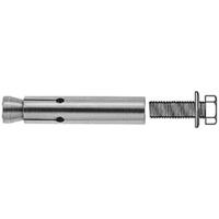 Fischer 60788 FZA 22 x 100 M12 I A4 Binnendraadplug 22 mm 10 stuk(s)