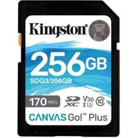 Kingston Technology Canvas Go! Plus flashgeheugen 256 GB SD Klasse 10 UHS-I