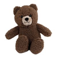 Take Me Home teddybeer knuffel xl