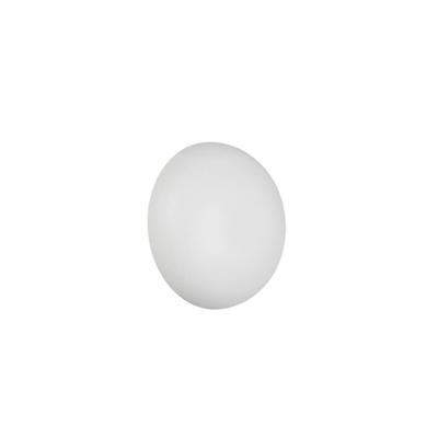 Trio Witte wandlampDavey Ø 15cm - R24431131