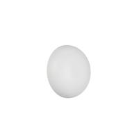 Trio Witte wandlampDavey Ø 15cm - R24431131