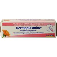 Boiron Dermoplasmine calendula lippenbalsem Boiron Dermoplasmine calendula lippenbalsem