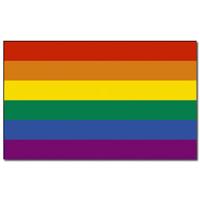 Regenboog kleuren vlag - 90 x 150 cm - polyester - met ringen