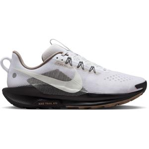 Nike Pegasus Trail 5 Heren