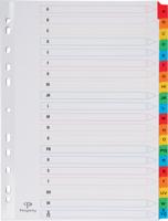 Pergamy tabbladen met indexblad, ft A4, 11-gaatsperforatie, geassorteerde kleuren, A-Z 20 met tabs Pergamy tabbladen met indexblad, ft A4, 11-gaatsperforatie, geassorteerde kleuren, A-Z 20 met tabs