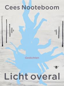 Licht overal (Hardback)