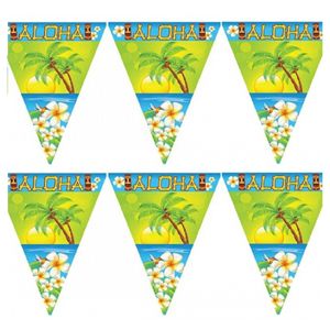 Set van 5x stuks vlaggenlijnen Hawaii Aloha thema 5 meter