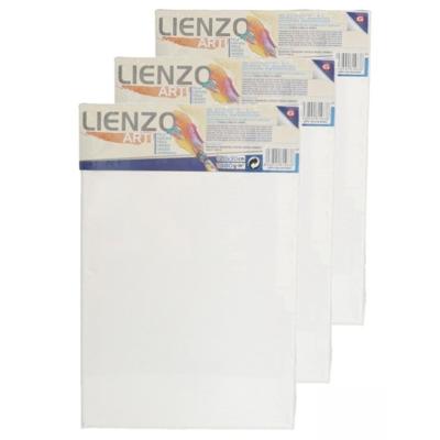 Gerimport Schilderdoek - 3x - 30 x 20 cm - blanco canvas - rechthoekig - houten frame