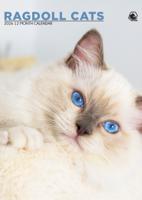 Ragdoll A3 Kalender 2026