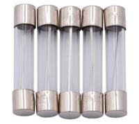 Dresselhaus glazen zekering glass fuses 6x32mm 20a f. american fahrz.