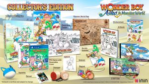 Wonder Boy Asha in Monster World Collector's Edition