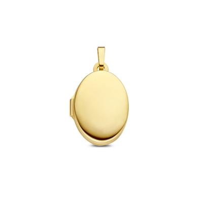 14K Geelgouden Medaillon - Een Tijdloos Sieraad voor Jouw Kostbare Herinneringen