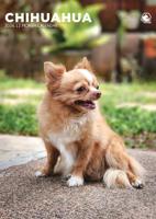 Chihuahua A3 Kalender 2026