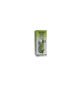 Equisetum arvense tinctuur bio