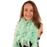 Verkleed veren boa - mintgroen - 180 cm - Carnaval verkleed accessoires - Dames - Veertjes