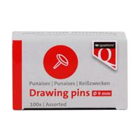 Punaises Quantore 100 stuks assorti