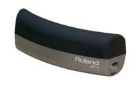 Roland BT-1