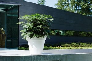 elho pure round 40 Binnen/buiten Plantenpot Vrijstaand Lineaire lagedichtheidpolyetheen (LLDPE) Wit