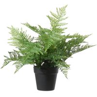 Louis maes Kunstplant - bosvaren - Dyropteris Remota - groen - 43 cm - Kunstplanten - thumbnail