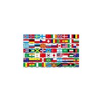 Vlag met 70 landen 150 x 90 cm - thumbnail