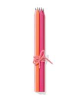 HEMA Potlodenset HB Ribbel - 5 Stuks