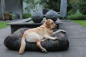 Dog's Companion® Hondenbed army superlarge