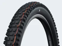 Schwalbe albert gravity pro 29x2.60 (65-622) folding evolution line soft black
