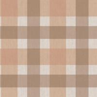 Cristiana Masi Top Stripes Behang schotse ruit - 38424
