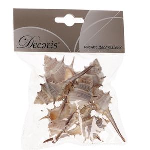 Decoratie schelpen Thorn 6 cm   -