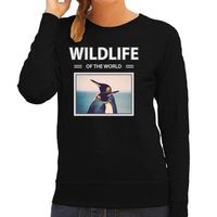 Pinguin sweater / trui met dieren foto wildlife of the world zwart voor dames